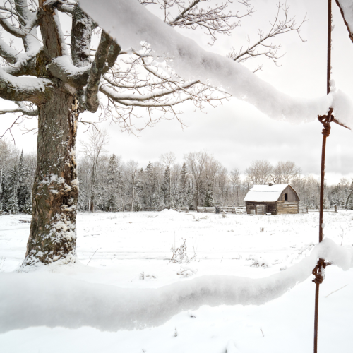 A Dusting of Snow