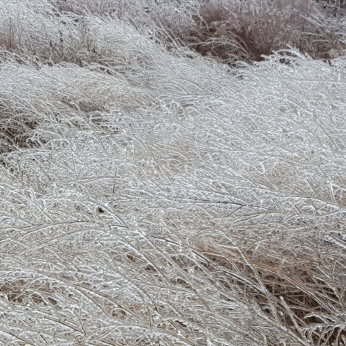 Ice storm