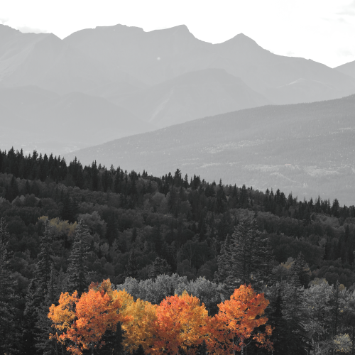 Fall in the Rockies 