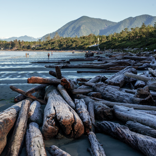 Tofino Flotsam