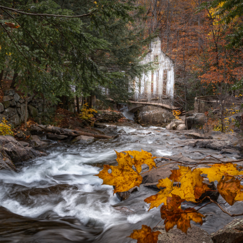 Ruins in the Forest
