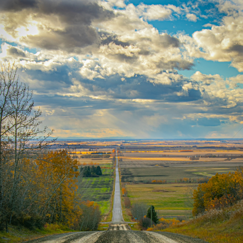 Open road