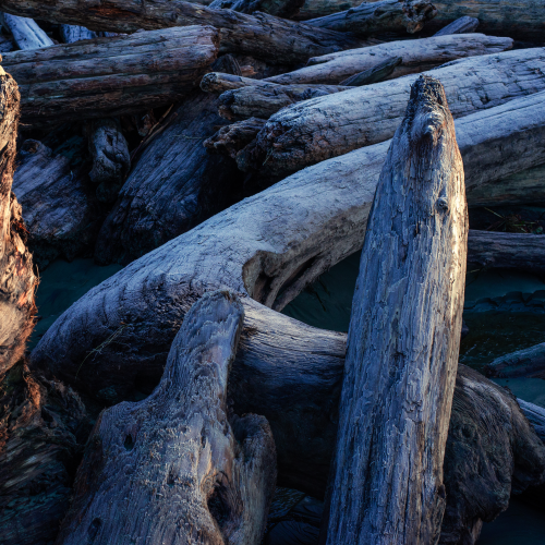 Frost Flotsam