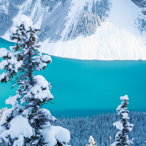 Lake and Cotton Candy Snow