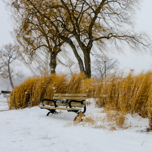 Bench