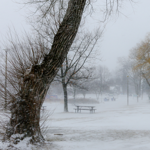 Snowstorm