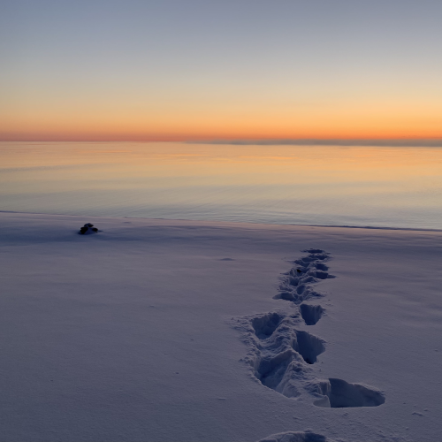 Winter sunrise 