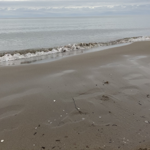 Beautiful Parlee Beach