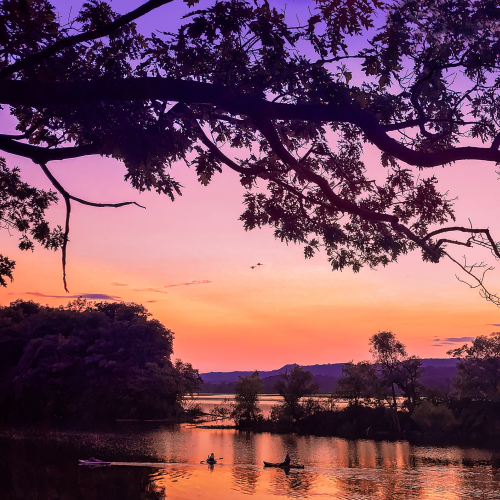 Kayaks at sunset