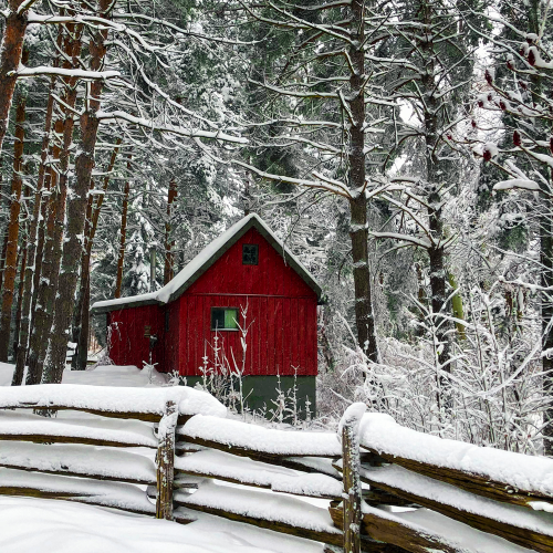Winter wonderland