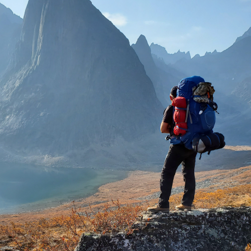 Man in Wilderness