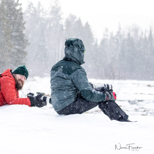 Winter fun