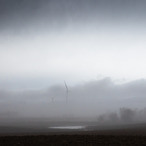 Foggy Fields