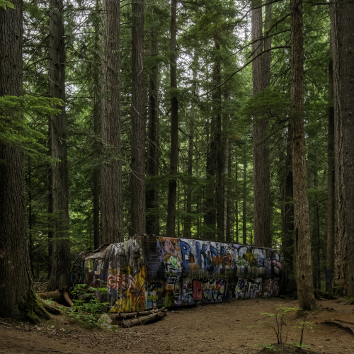 Whistler's Derailed Train