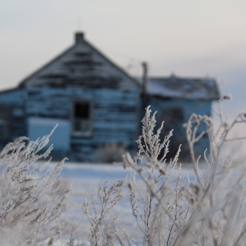 Off The Beaten Path