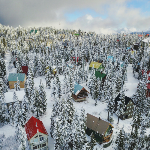 Winter Wonderland