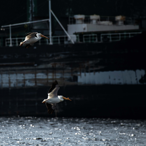 Flyby
