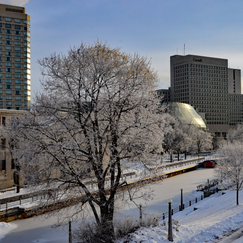 Celebrate Winter - Celebrate Ottawa - Celebrate Canada - Celebrate . . . 