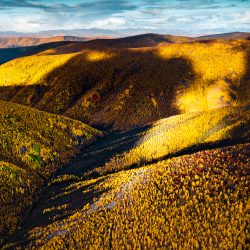 Fall, On the Top of The World