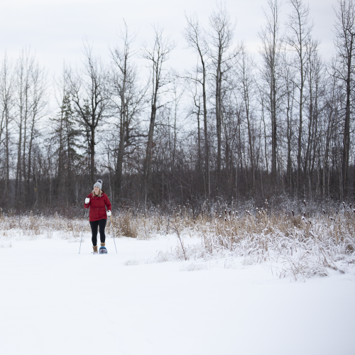 Solo Snowshoeing 