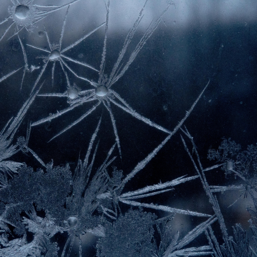 Ice Flowers