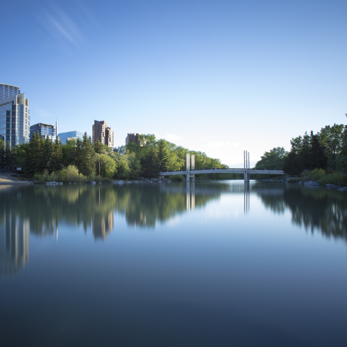 The summer of 2020 and the urban quietness