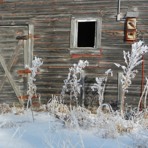 Barn in a Winter Utopia