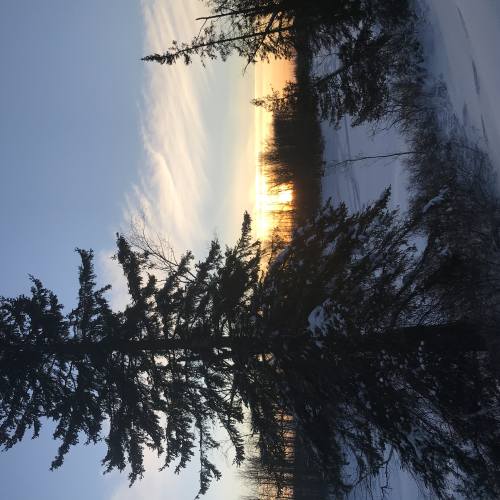 Winter reflections 