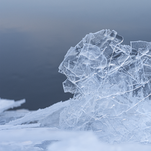 Ice Art Gallery