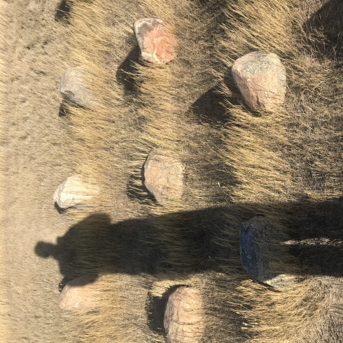 Mary’s Labyrinth