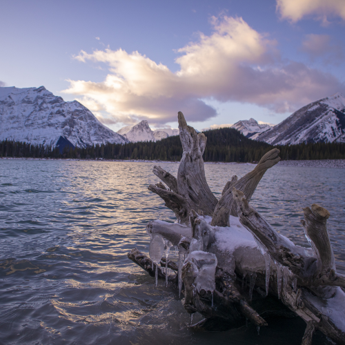 Sunset and Ice