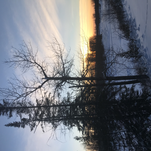 Winter reflections 