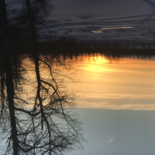 Winter reflections 