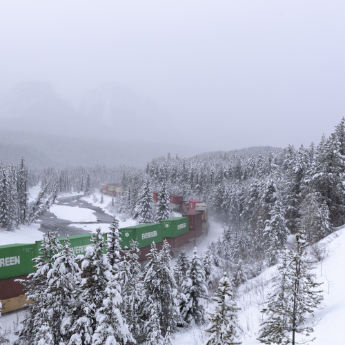 The Train In The Rockies
