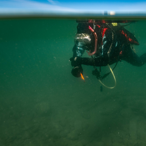 Lone Diver
