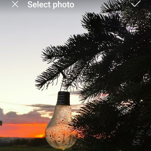 Sunrise after rain