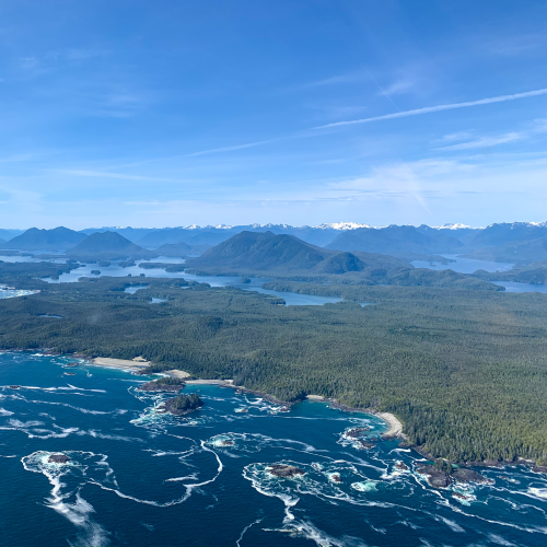 Tofino by Air