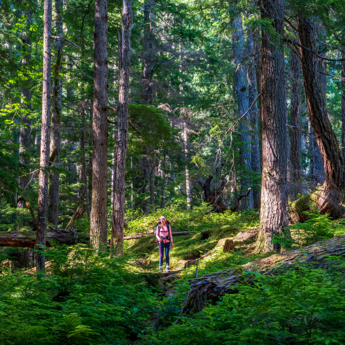 Feeling Small in Nature