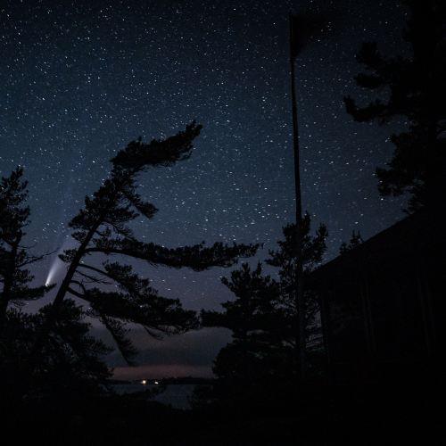 White Pine Comet