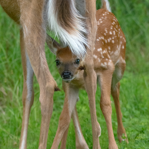 Mama & Baby
