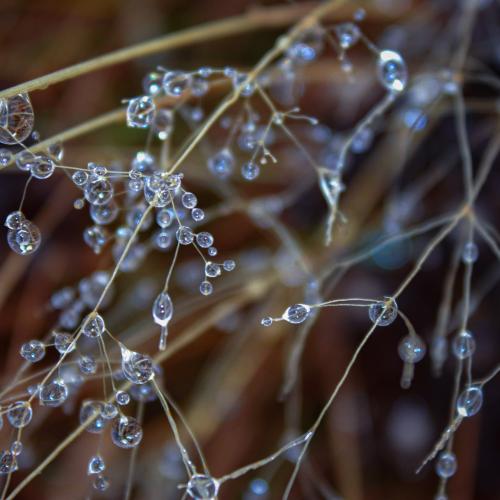 Tiny Droplet Universes 