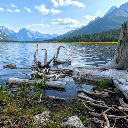 Spray lake, Kananaskis