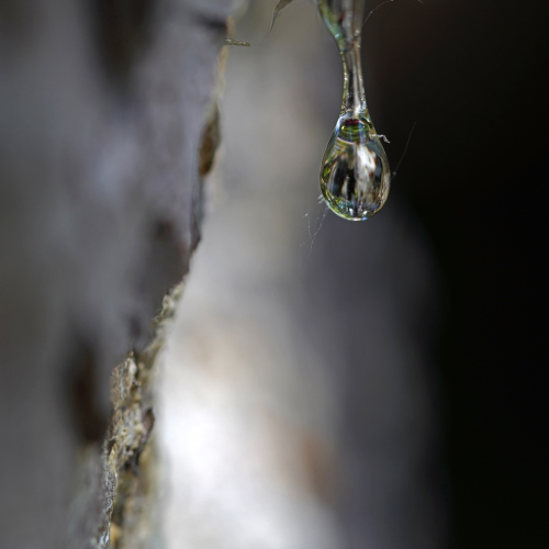 Frozen in time