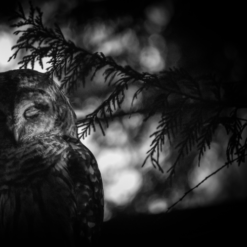 There's always light within the darkness...