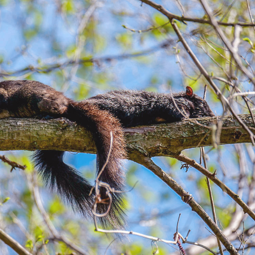 Just Chillin'