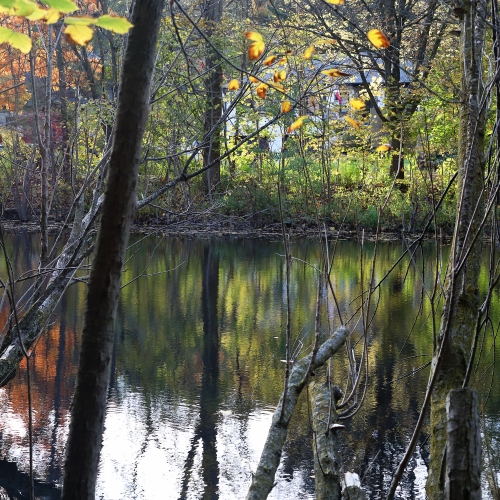 reflection