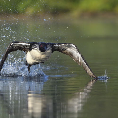take off