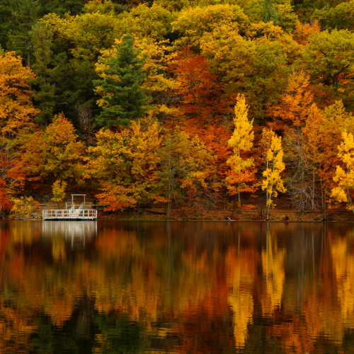 Colors reflections