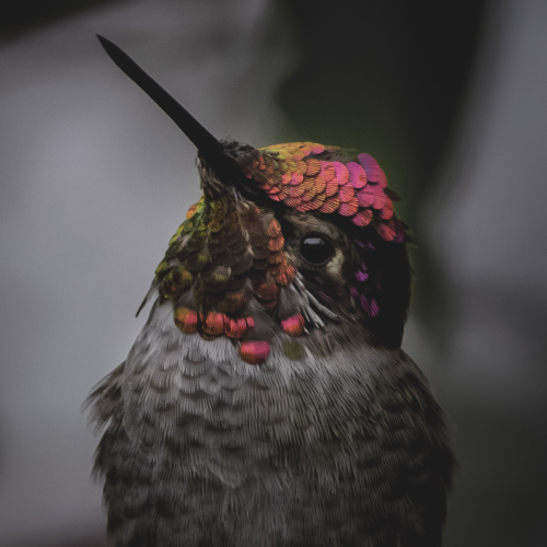 Beauty in detail 