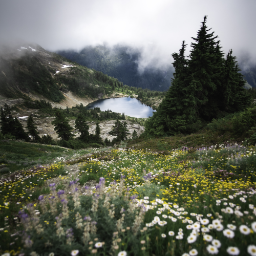 Alpine paradise 